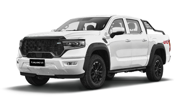 Foton Tunland V9 — Balta